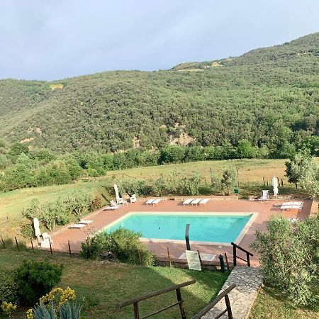 Podere Le Mulina Castiglione dʼOrcia Dış mekan fotoğraf