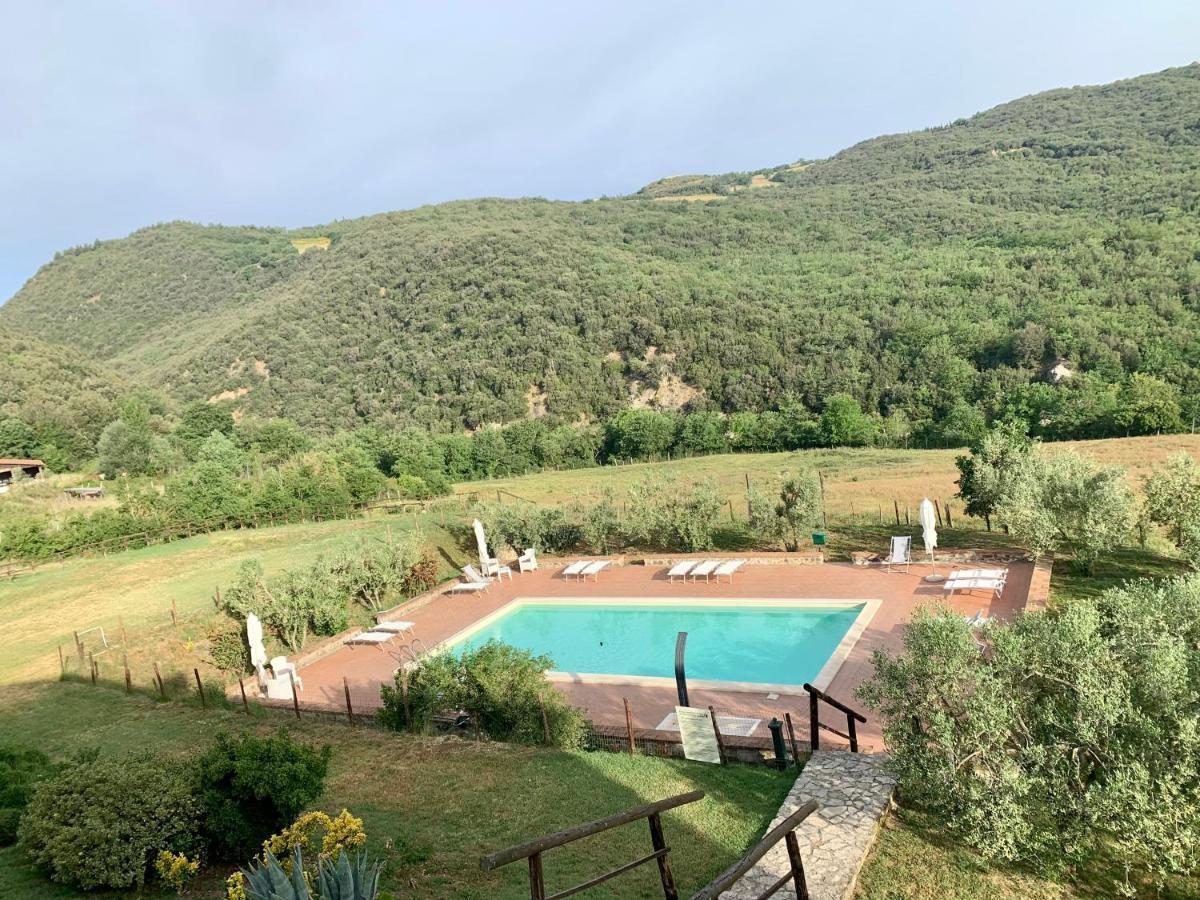 Podere Le Mulina Castiglione dʼOrcia Dış mekan fotoğraf